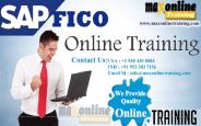 SAP Goal of Financial Accounting Controlling(FICO) Principle