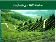 Tour Packages for darjeeling