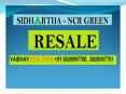Resale Sidhartha Ncr Green Sector 95 Gurgaon// Resale Sidhartha Ncr Green Sector 95 Gurgaon call 8826997781 PowerPoint PPT Presentation