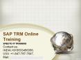 best sap trm online training PowerPoint PPT Presentation