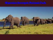 Serengeti National Park