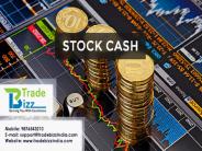 tradebizzindia ppt