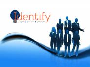 SEO Services Auckland