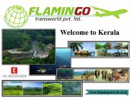 Best Places To Visit In Kerala