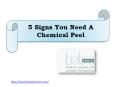 5 Signs You Need A Chemical Peel PowerPoint PPT Presentation