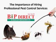 The Importance of Hiring Professional Pest Control Services