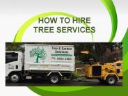 How to Hire Tree Services