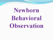 Newborn Behavioral Observation