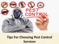 Tips For Choosing Pest Control Services PowerPoint PPT Presentation