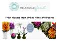 Fresh Flowers From Online Florist Melbourne PowerPoint PPT Presentation