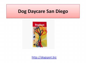 Dog  Daycare Boarding Vista Encinitas