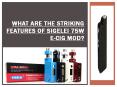 What are The Striking Features of Sigelei 75W E-Cig Mod PowerPoint PPT Presentation
