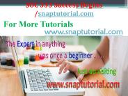 SOC 333 Course Success Begins / snaptutorial.com