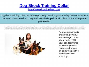 Dog shock training collar