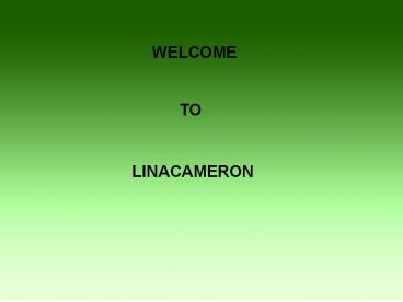 Bridal Make-Up Lessons to Be a Beautiful Bride Makeup