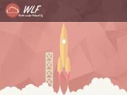WLF CRM Integration Services
