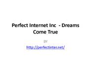 Perfect Internet Inc Review