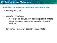 LEQ: How do biological molecules store information?