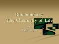 Biochemistry: The Chemistry of Life PowerPoint PPT Presentation