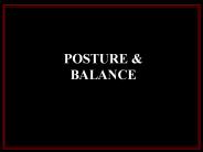 Clinical%20Evaluation%20Principles