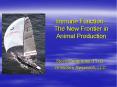 Immune Function - The New Frontier in Animal Production PowerPoint PPT Presentation
