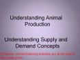 Understanding Animal Production PowerPoint PPT Presentation