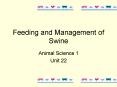 Feeding and Management of Swine PowerPoint PPT Presentation