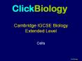 Cambridge IGCSE Biology Extended Level PowerPoint PPT Presentation