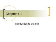 Introduction to the cell