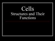 Cells Structures and Their Functions
