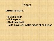 Plants
