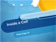 Inside a Cell PowerPoint PPT Presentation
