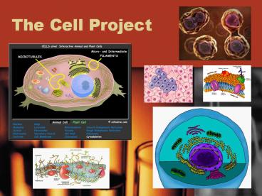 The Cell Project