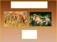 African Savanna PowerPoint PPT Presentation