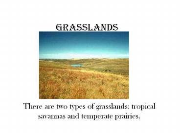 grasslands