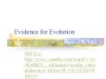 Evidence for Evolution PowerPoint PPT Presentation
