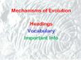 Mechanisms of Evolution PowerPoint PPT Presentation