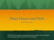 Plant Classes and Parts