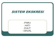 SISTEM EKSKRESI