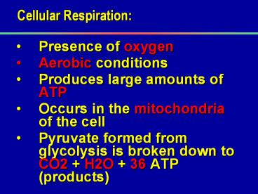 Cellular Respiration: