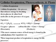 Cellular Respiration, Photosynthesis,