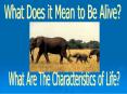 What Does it Mean to Be Alive? PowerPoint PPT Presentation