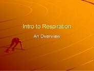 Intro to Respiration