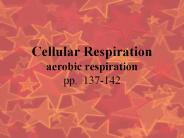 Cellular Respiration aerobic respiration