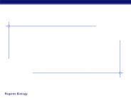 Cellular Respiration Harvesting Chemical Energy