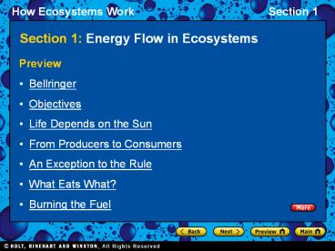 Section 1: Energy Flow in Ecosystems