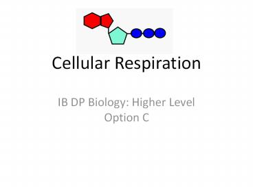 Cellular Respiration