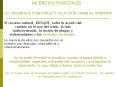 INCENDIOS FORESTALES PowerPoint PPT Presentation