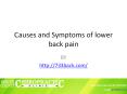 Causes and Symptoms of lower back pain PowerPoint PPT Presentation