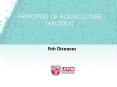 Fish Diseases PowerPoint PPT Presentation